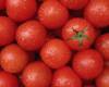 <b>Название: </b>(Спелые томаты), <b>Добавил:<b> Admin<br>Размеры: 1280x800, 126.3 Кб